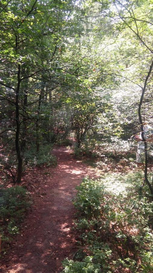 Poort Van De Veluwe Вортхёйзен Экстерьер фото