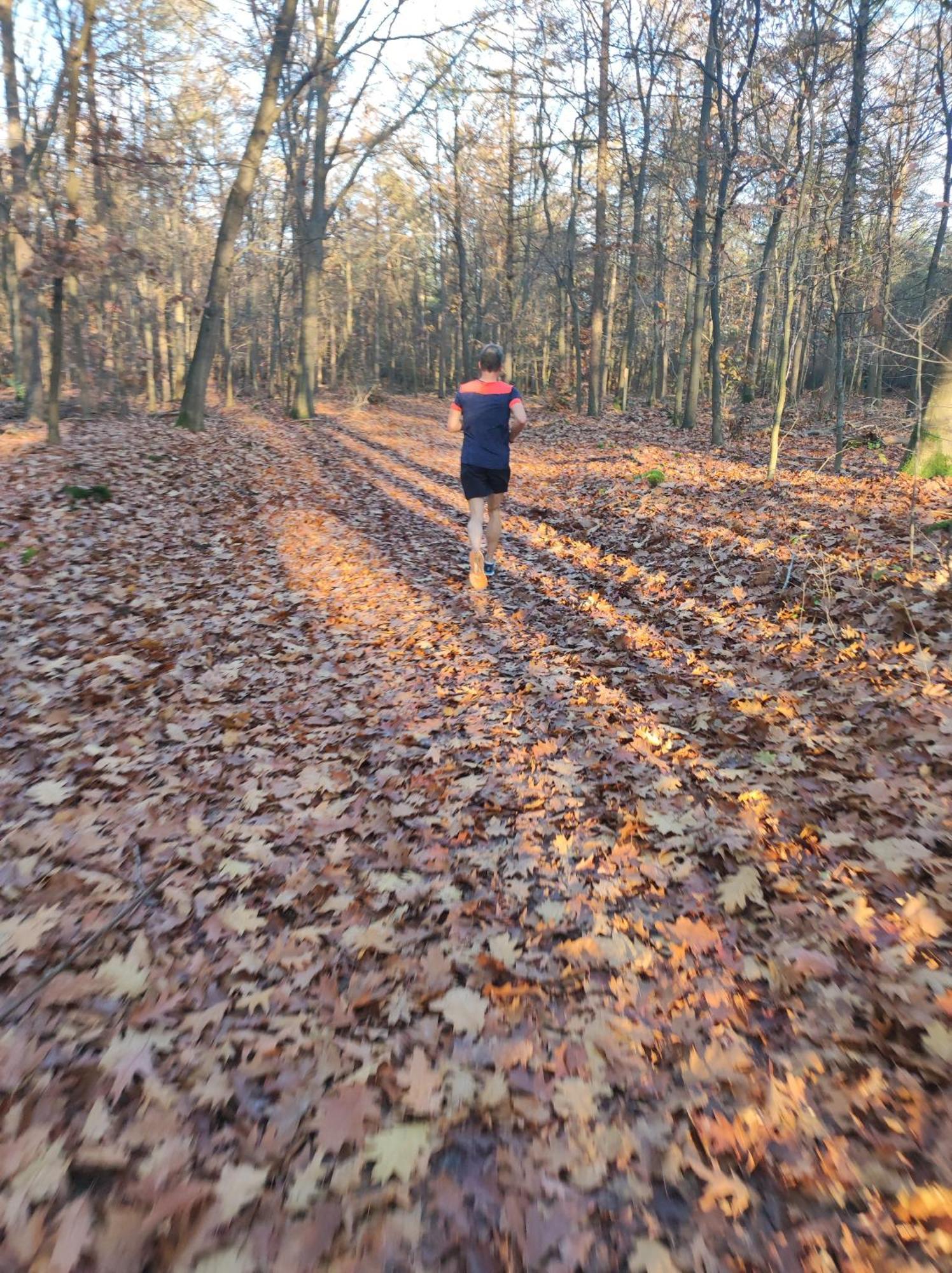 Poort Van De Veluwe Вортхёйзен Экстерьер фото